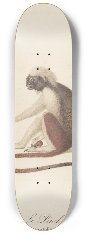 Jean-Baptiste Audebert - Le Pinche 8.25 inch art skate deck