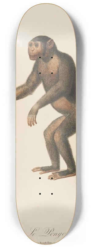 Jean-Baptiste Audebert - Le Pongo 8.25 inch art skate deck
