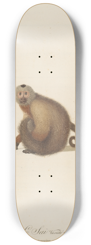 Jean-Baptiste Audebert - Le Sai a gorge blanche varit b 8.25 inch art skate deck