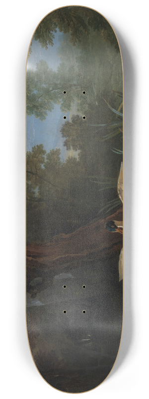 Jean-Baptiste Oudry - Ducks Resting in Sunshine 8.25 inch art skate deck