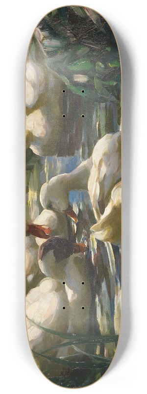 Alexander Koester - Enten auf dem Waldweiher 8.25 inch art skate deck