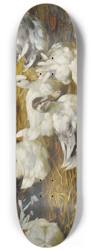 Alexander Koester - Enten im Stroh 8.25 inch art skate deck