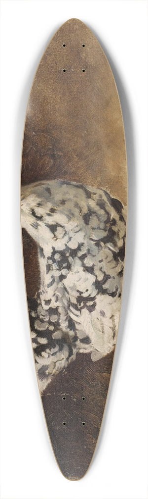 Jean Lulvs - Hen 39.3 inch art pintail longboard deck