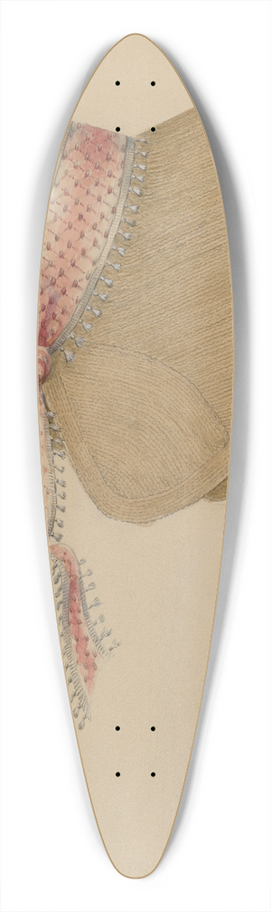 Jessie M. Benge - Bonnet 39.3 inch art pintail longboard deck