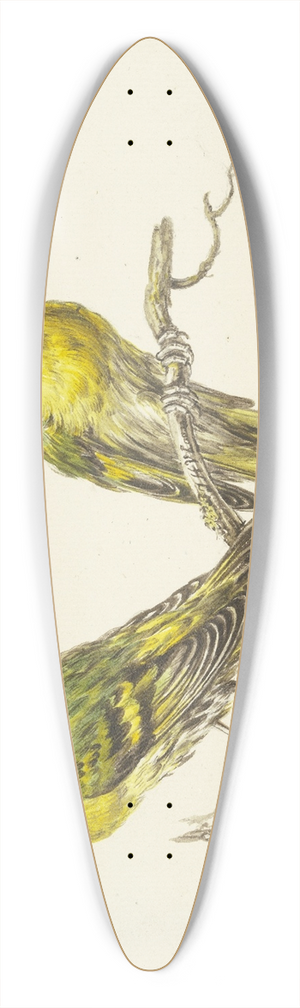 J. H. Van Loon - Two linnets 39.3 inch art pintail longboard deck