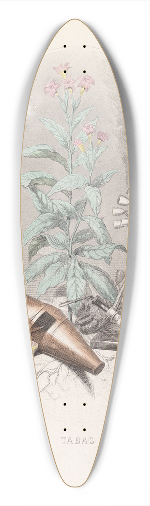 J. J. Grandville - Tabac 39.3 inch art pintail longboard deck