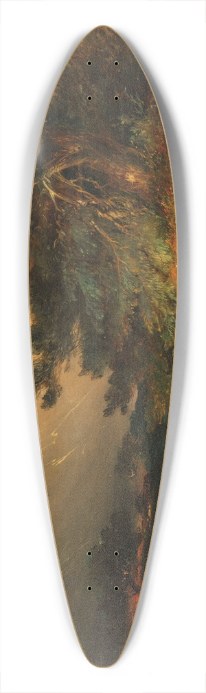 Johannes Tavenraat - The Thunderstorm 39.3 inch art pintail longboard deck