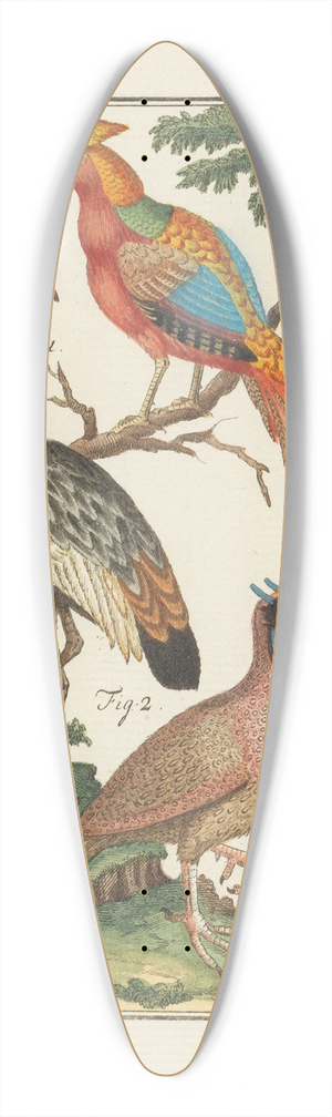 Johann Jacob Ebert - Naturlehre 39.3 inch art pintail longboard deck