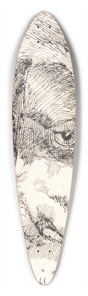 Johan Thomas Lundbye - Hundehoved, Terry 39.3 inch art pintail longboard deck
