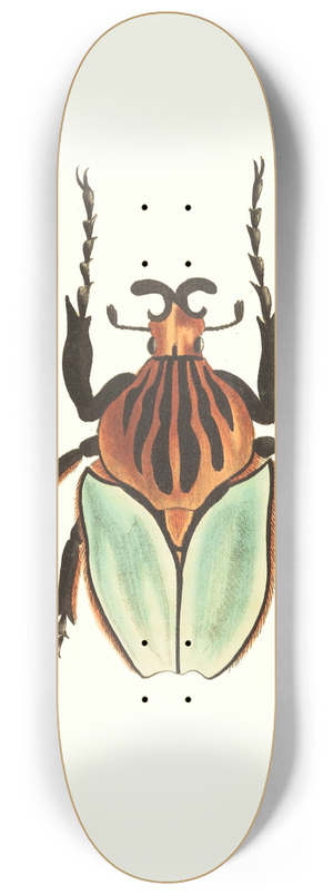 George Shaw - Cacique Beetle 8.25 inch art skate deck