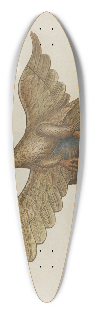 John Davis - Eagle 39.3 inch art pintail longboard deck