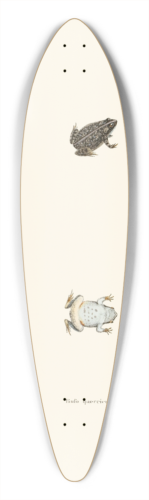 John Edwards Holbrook - Bufo quercicus 39.3 inch art pintail longboard deck