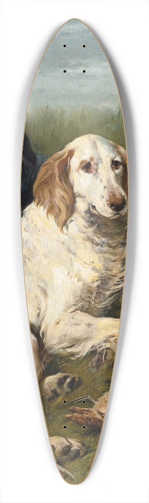 John Emms - A DAYS BAG 39.3 inch art pintail longboard deck