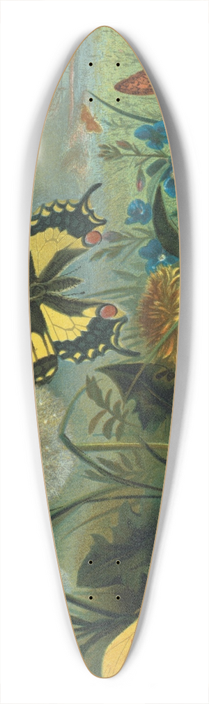 John George Wood - Erycinids 39.3 inch art pintail longboard deck