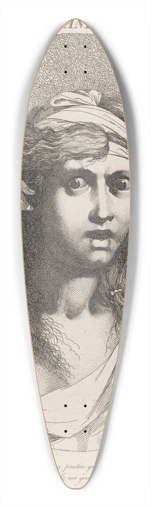 John Hamilton Mortimer - Cassandra, from Troilus and Cressida, Act II, Scene 4 39.3 inch art pintail longboard deck