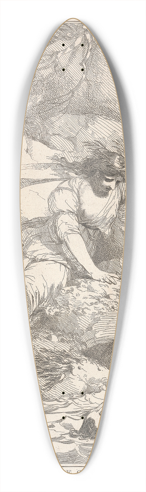 John Hamilton Mortimer - Elegy 39.3 inch art pintail longboard deck
