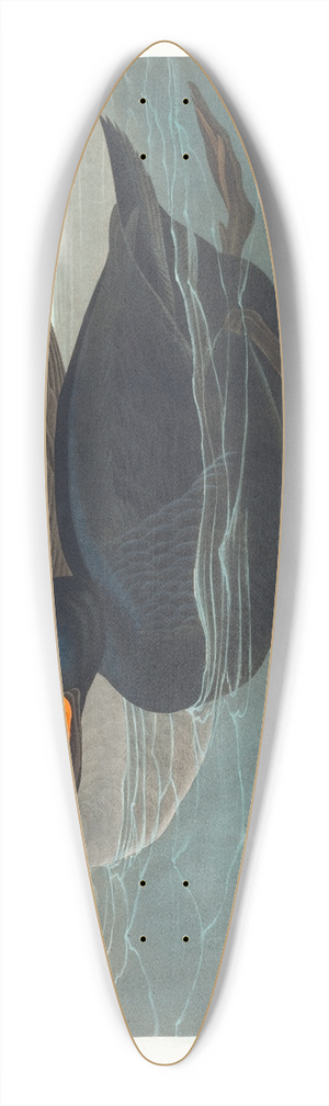 John James Audubon - American scoter duck 39.3 inch art pintail longboard deck