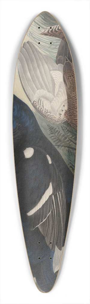 John James Audubon - English Black Cocks 39.3 inch art pintail longboard deck