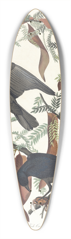 John James Audubon - Fish crow 39.3 inch art pintail longboard deck