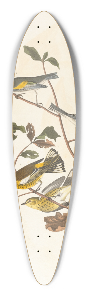 John James Audubon - Golden-winged warbler 39.3 inch art pintail longboard deck