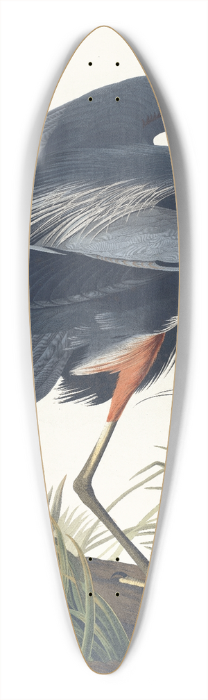 John James Audubon - Great blue heron 39.3 inch art pintail longboard deck