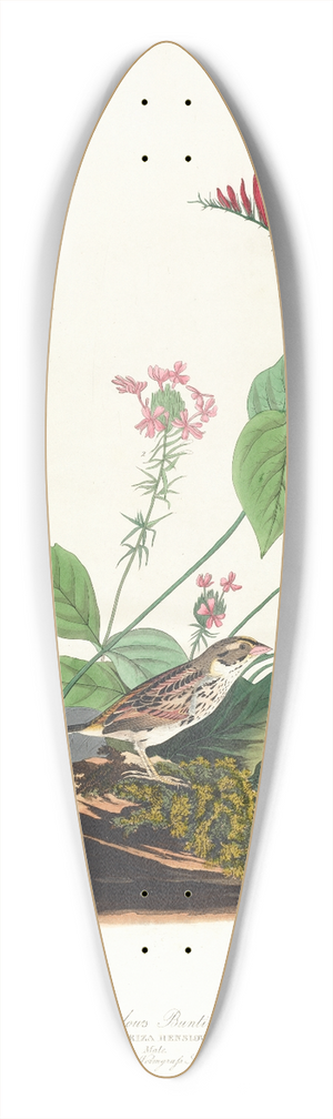 John James Audubon - Henslows bunting 39.3 inch art pintail longboard deck
