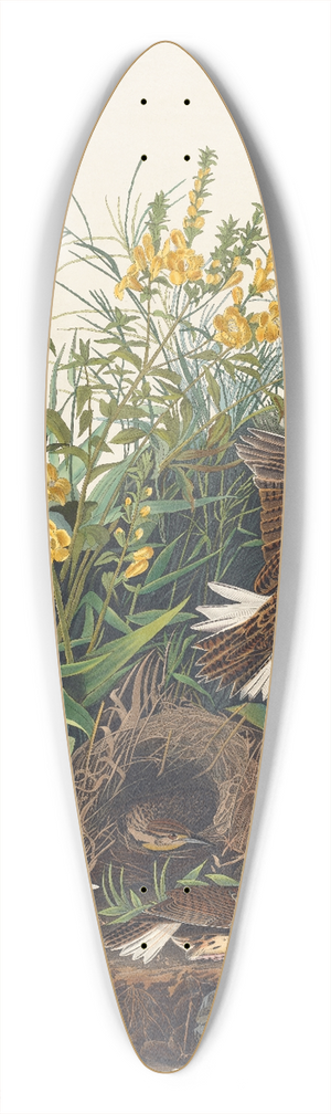 John James Audubon - Meadow lark 39.3 inch art pintail longboard deck