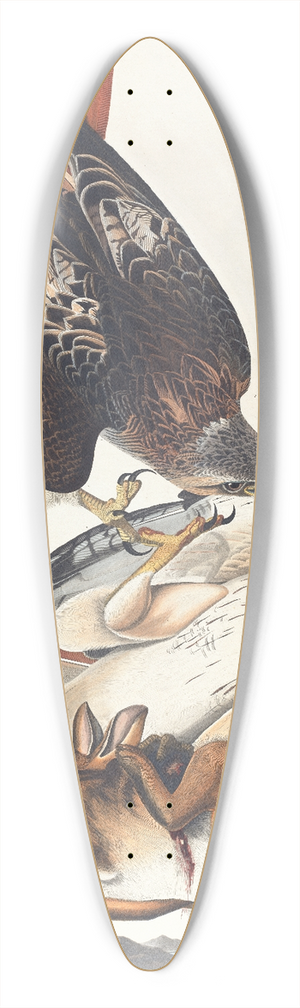 John James Audubon - Red tailed hawk 39.3 inch art pintail longboard deck