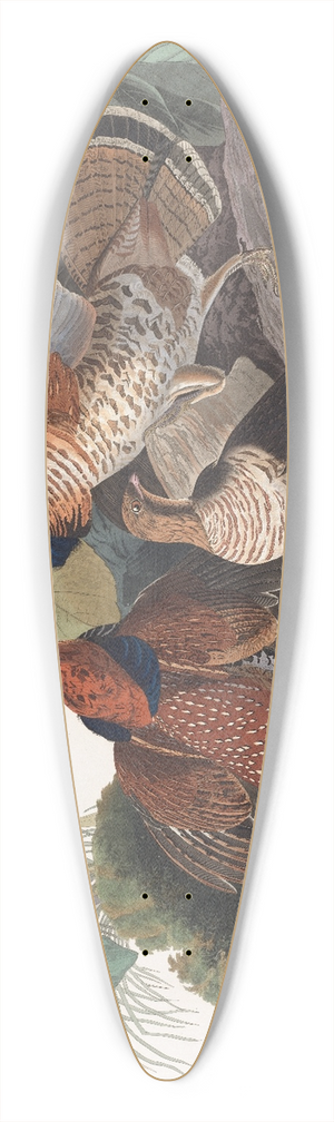 John James Audubon - Ruffed grous 39.3 inch art pintail longboard deck