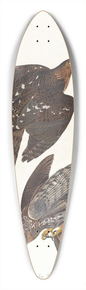 John James Audubon - Stanley hawk 39.3 inch art pintail longboard deck