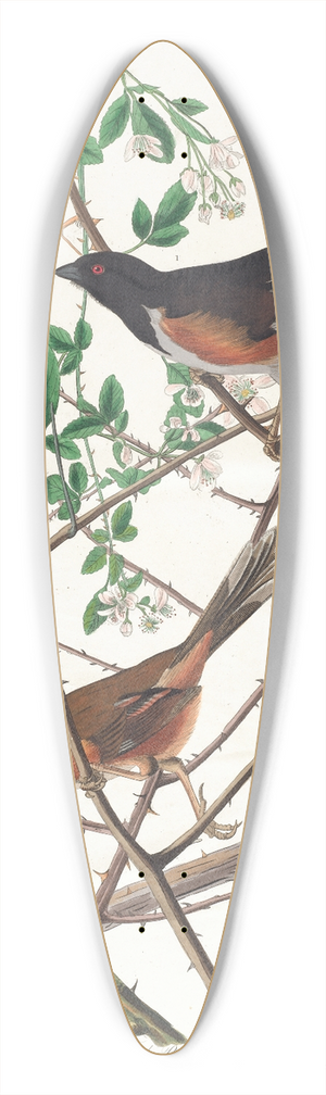 John James Audubon - Towhe bunting 39.3 inch art pintail longboard deck
