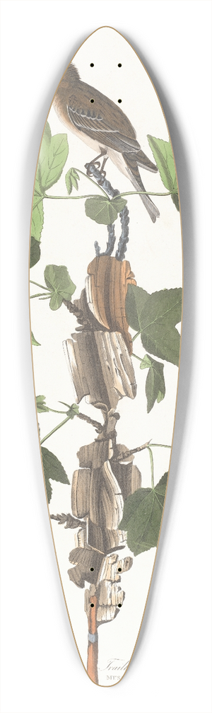 John James Audubon - Traills flycatcher 39.3 inch art pintail longboard deck