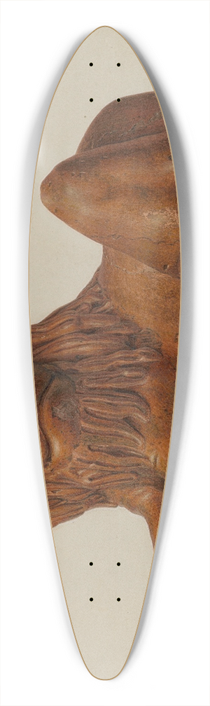 John Matulis - Lion 39.3 inch art pintail longboard deck