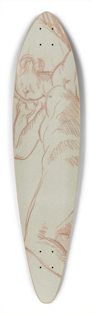 John Sloan - ModelResting 39.3 inch art pintail longboard deck