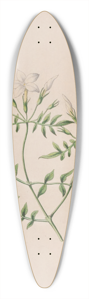 John Stevens Henslow - Strawberry Tree 39.3 inch art pintail longboard deck