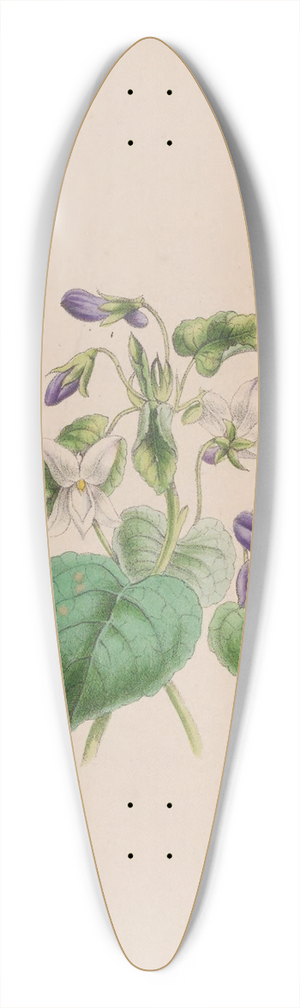 John Stevens Henslow - Sweet Scented Violet 39.3 inch art pintail longboard deck