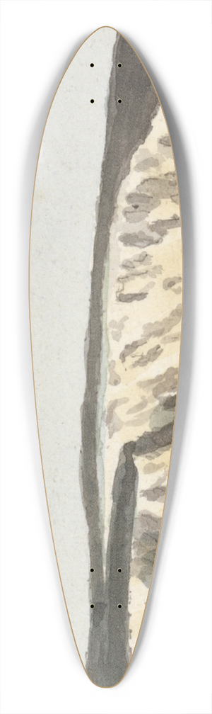 John Thomas Serres - Piveral Point 39.3 inch art pintail longboard deck