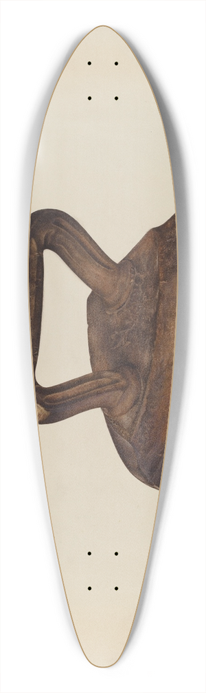 John Thorsen - Iron 39.3 inch art pintail longboard deck