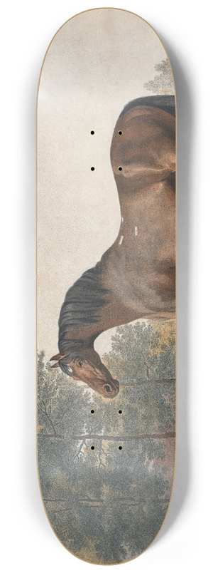 George Stubbs - Anvil 8.25 inch art skate deck