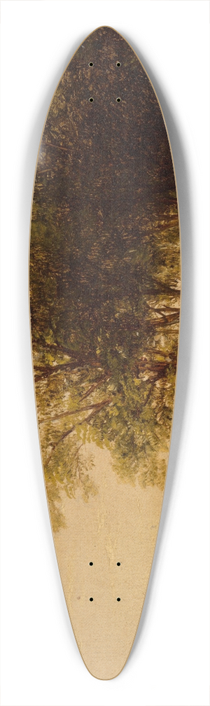 John William Casilear - Solitude 39.3 inch art pintail longboard deck