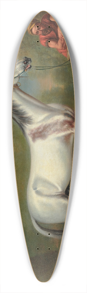 John Wootton - The Bloody Shoulderd Arabian 39.3 inch art pintail longboard deck