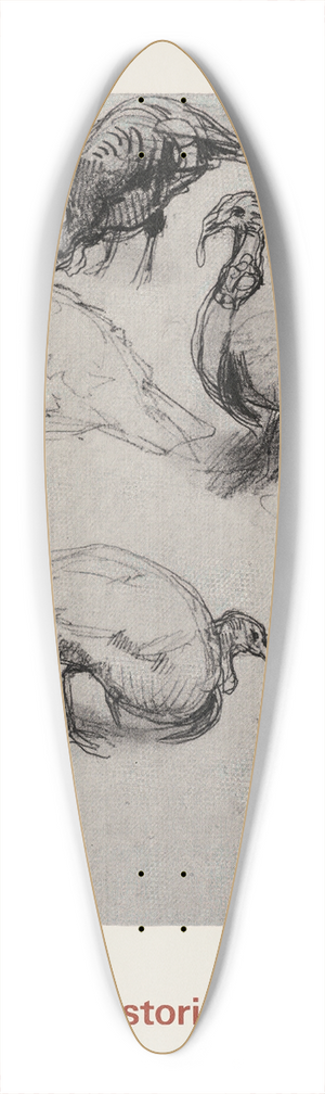 Jolijn van de Wouw - In Artis getekend 39.3 inch art pintail longboard deck