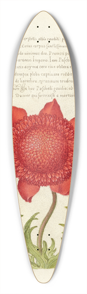 Joris Hoefnagel - Basil Thyme, Poppy Anemone, and Myrtle 39.3 inch art pintail longboard deck
