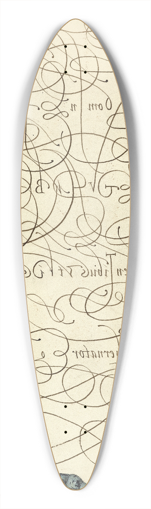 Joris Hoefnagel - Caterpillar and Insect 39.3 inch art pintail longboard deck