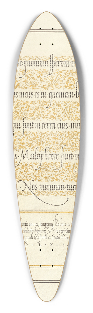 Joris Hoefnagel - Dagger 39.3 inch art pintail longboard deck