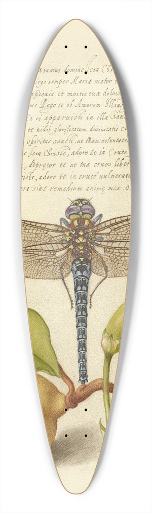 Joris Hoefnagel - Dragonfly, Pear, Carnation, and Insect 39.3 inch art pintail longboard deck