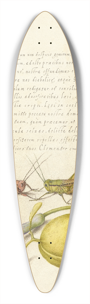 Joris Hoefnagel - Wart-Biter, Grasshopper, Hyacinth, and Almond 39.3 inch art pintail longboard deck