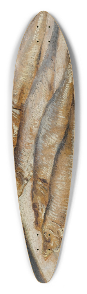 Josef Navrtil - Sardellen 39.3 inch art pintail longboard deck