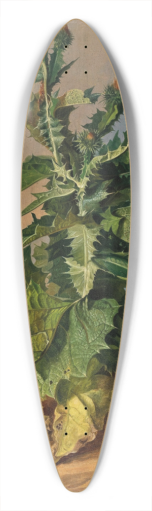 Josef Schuster - Thistles 39.3 inch art pintail longboard deck