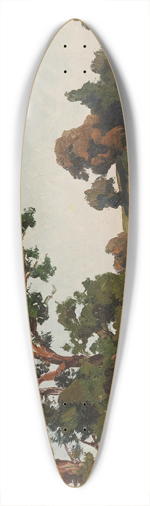 Josef Willroider - Am Feld 39.3 inch art pintail longboard deck